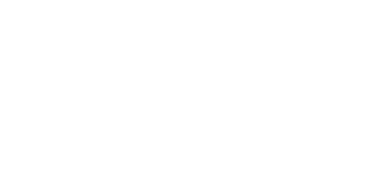 leon bet logo